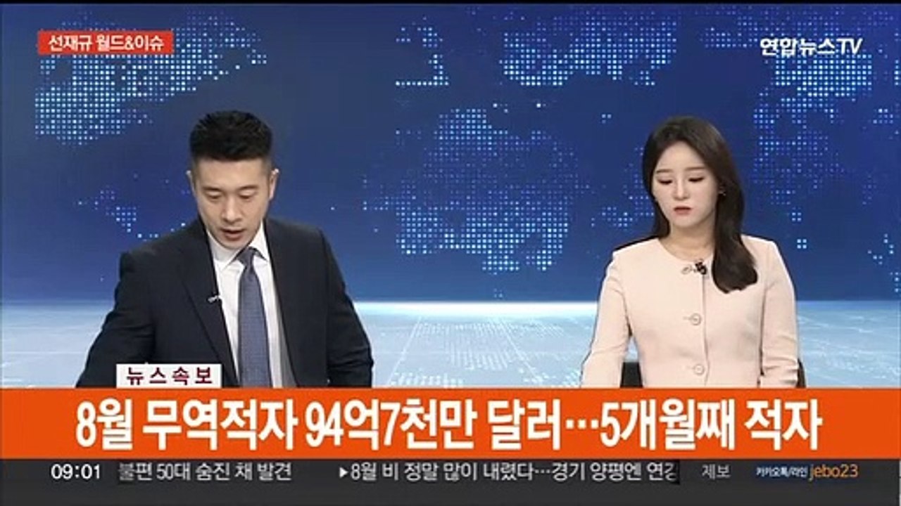 [속보] 8월 무역적자 94억7천만 달러…5개월째 적자