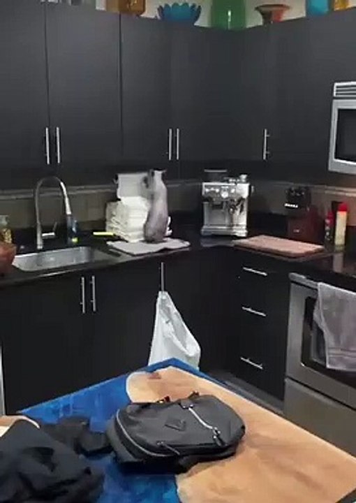 Amazing funny video
