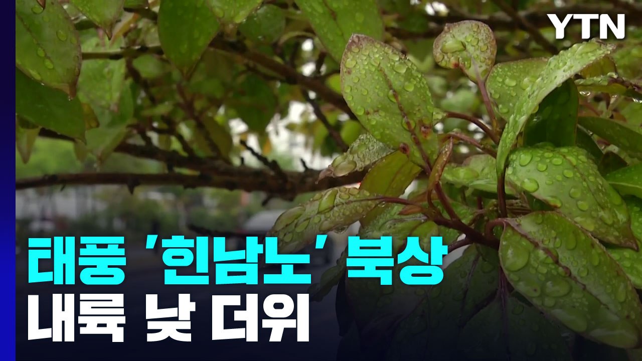 [날씨] 내륙 낮 더위...태풍 '힌남노' 북상, 제주도 300mm 호우 / YTN