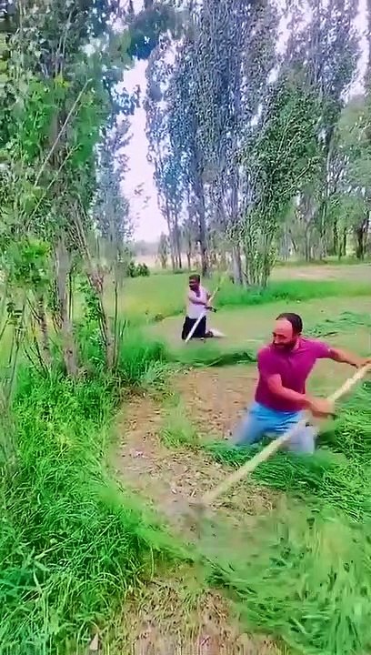 awesome job