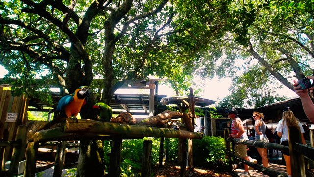 Gatorland Theme Park (Orlando, Florida) - Travel VLOG Video Tour & Review - Virtual Tour, Highlights and Rides - Cinematic 4k Video