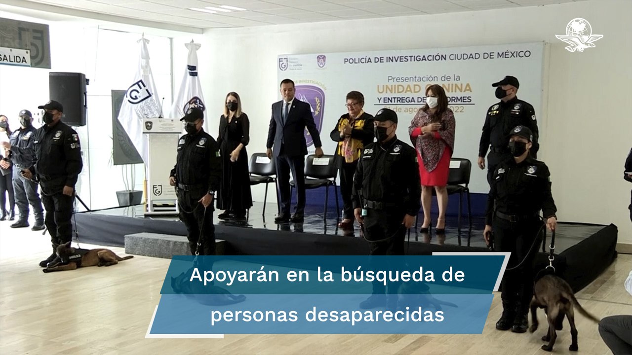 Conoce a los nuevos agentes caninos de investigación de la FGJ de la CDMX