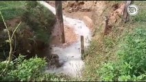 Quesería Excélsior contamina arroyos y hogares en Isla