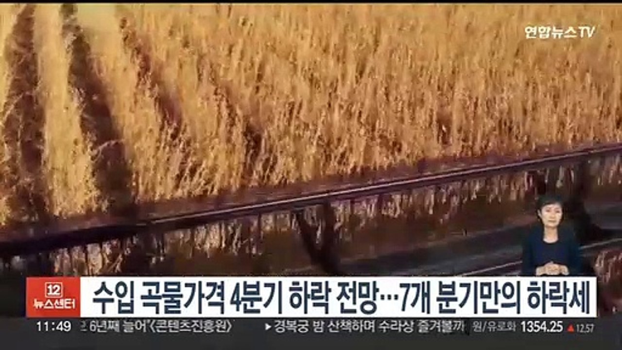 수입 곡물가격 4분기 하락 전망…7개 분기만의 하락세