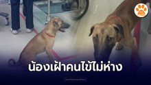 ญาติคนไข้ตามไม่หยุดเลยค่า น้องพยายามจะหาคุณลุง พี่ๆก็ใจดีไม่ไล่น้องเลย