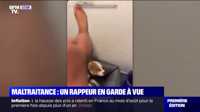 Maltraitance animale: le rappeur Trimal placé en garde à vue après avoir frappé son chien