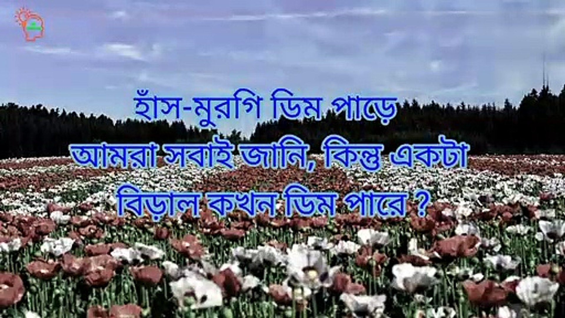 ⁣Intresting bangla dhadha। bangla gk video general knowledge bangla। Shadharan gyan bangla। Bangla qu