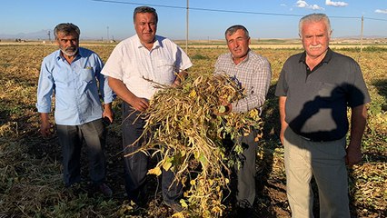 "Üretici kazanamıyor, tüketici pahalıya ürün alıyor"