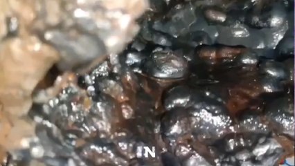 พบเหล็กไหลงอกในก้อนหินมีคนเสนอซื้อ 100 ล้าน