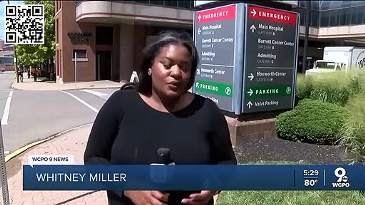 Etats-Unis - Un homme de 20 ans est dans le coma après avoir été piqué plus de 20.000 fois par des abeilles tueuses - VIDEO