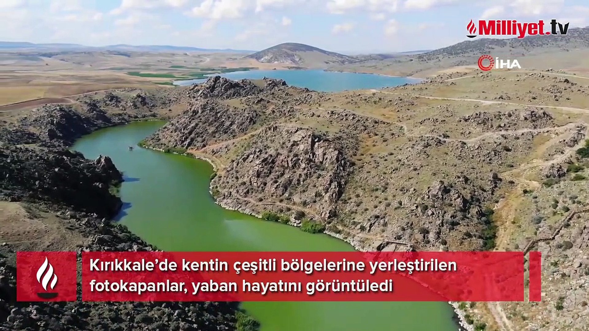 Bozkırın yaban hayatı fotokapanda