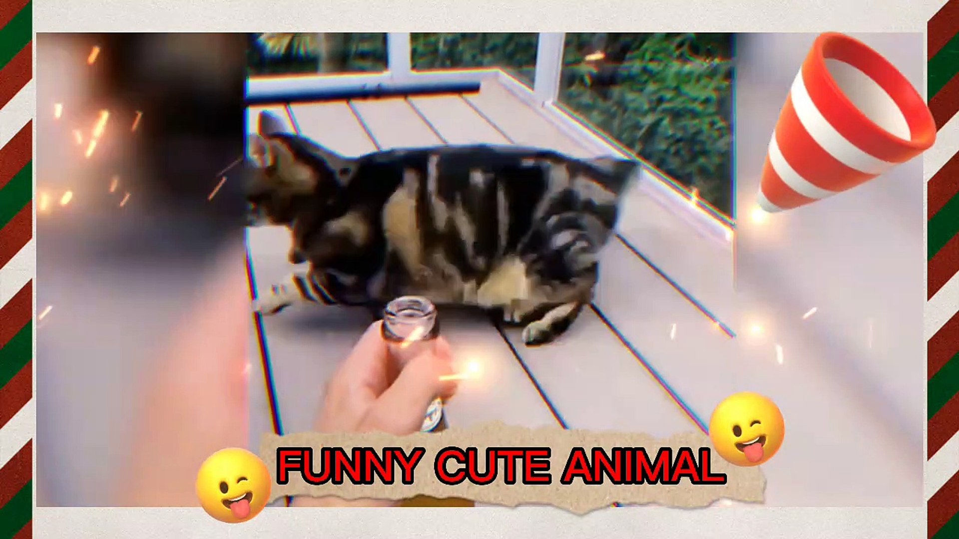 ⁣Animals | animals sounds