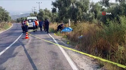 Akşam evine dönmedi, yol kenarında ölü olarak bulundu