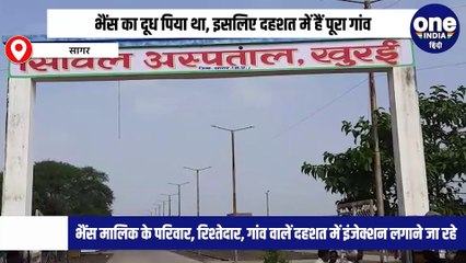 पागल कुत्ते ने भैंस को काटा, एक महीने बाद मौत, दूध पीने वालों में हड़कंप