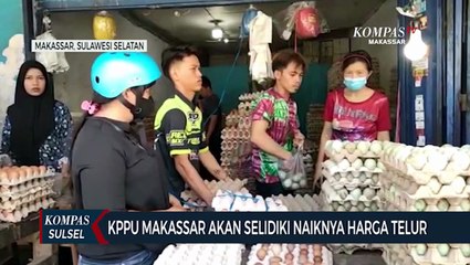 KPPU Makassar Akan Selidiki Naiknya Harga Telur