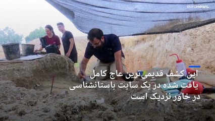 عاج فیل ماقبل تاریخ در اسرائیل کشف شد