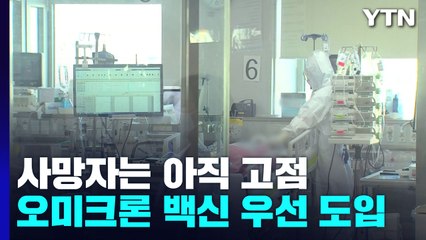 사망 넉 달 만에 최다...오미크론用 백신부터 접종 / YTN