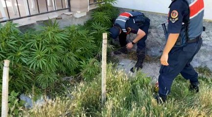Son dakika haberi! Aksaray'da 2 köyde uyuşturucu operasyonu: 1'i kadın 2 gözaltı
