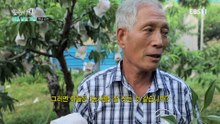 한국기행 - Korea travel_여름, 남도 기행 4부- 달콤한 인생_#001