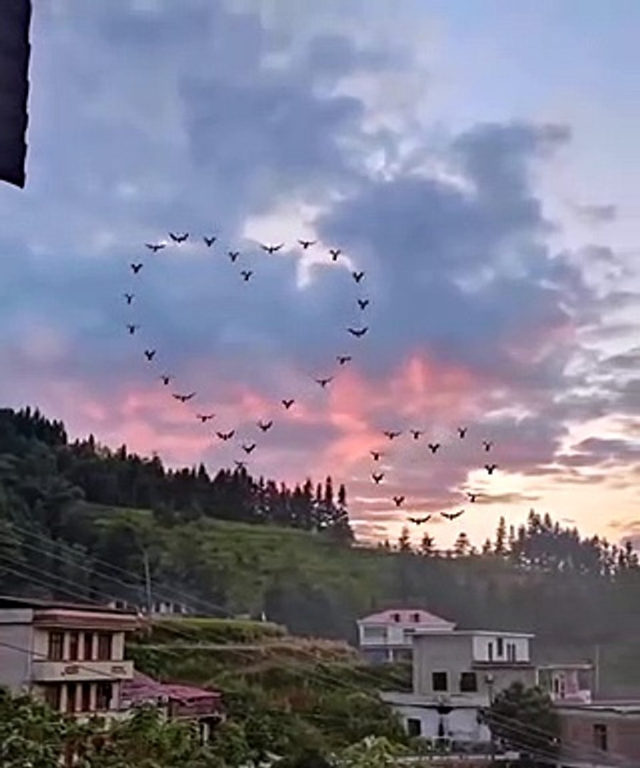 Amazing