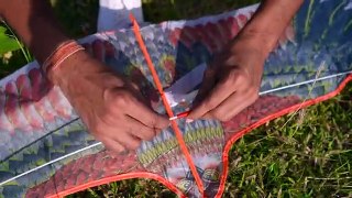 Monster Centipede Kite-22 Feet | क्या ये अजीबोगरीब पतंग उड़ पायेगी? Crazy Kites | CRZY XYZ