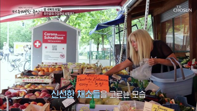 암 극복과 면역력을 올린 주인공의 비법 《비타민C》 TV CHOSUN 20220901 방송