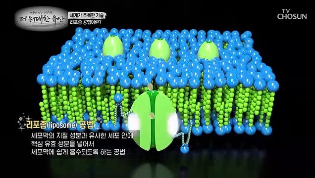 체내 흡수율⬆ 면역력 지킴이 ▸리포즘 공법 비타민C◂ TV CHOSUN 20220901 방송