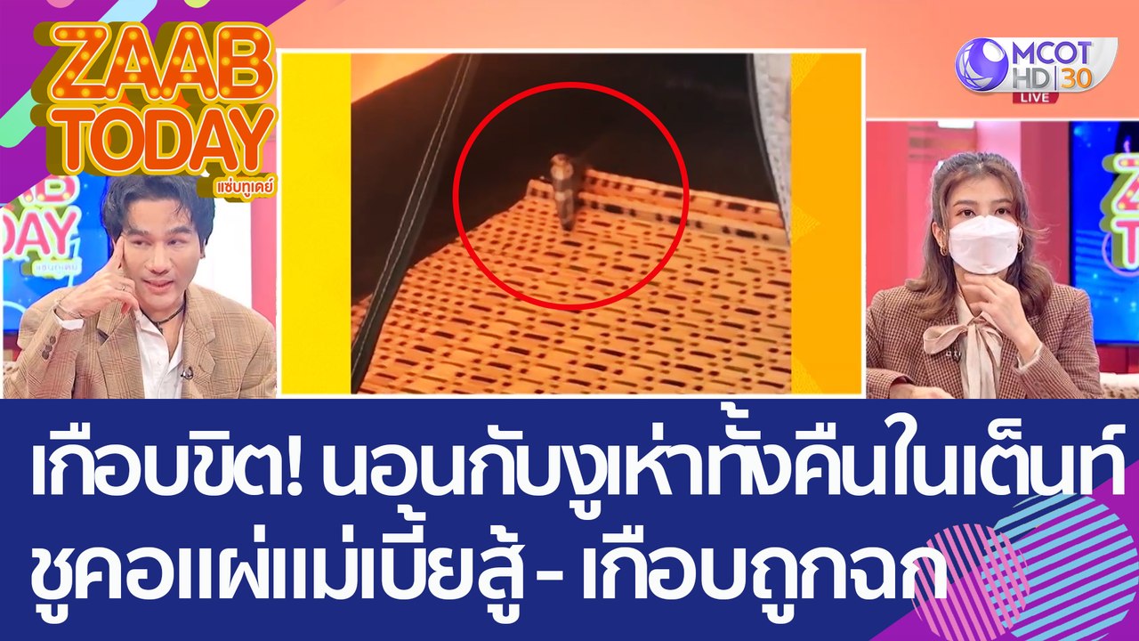 เกือบขิต! นอนกับ 'งูเห่า' ทั้งคืนในเต็นท์ ชูคอแ...