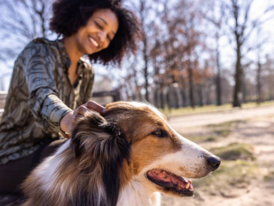 Ranking: Das ist die hundefreundlichste Stadt Deutschlands!