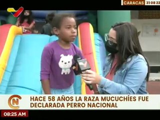 Misión Nevado celebra los 58 años de la declaración de la raza Mucuchíes como Perro Nacional