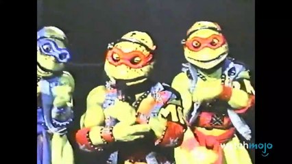 Top 10 TMNT Facts That Will Ruin Your Childhood