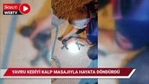 Yavru kediyi kalp masajıyla hayata döndürdü