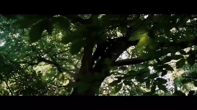 Robin des Bois Bande-annonce (IT)