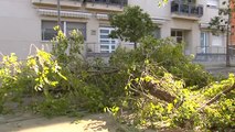 Los destrozos de la tormenta en zonas de Barcelona que dejaron herido a un menor de trece años