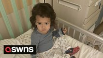 Toddler with rare leukaemia needs £40K to help find half Caucasian half Japanese bone marrow donor