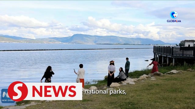 Conservation efforts bear fruit at major lake in Yunnan, China