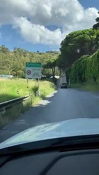 Messina, abbandono e degrado in tangenziale