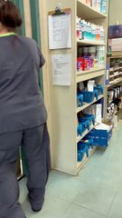 La famille rend visite à un chien qui se remet d'une opération chirurgicale - Buzz Buddy