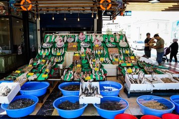 Av yasağının sona ermesiyle balıklar tezgahtaki yerini aldı