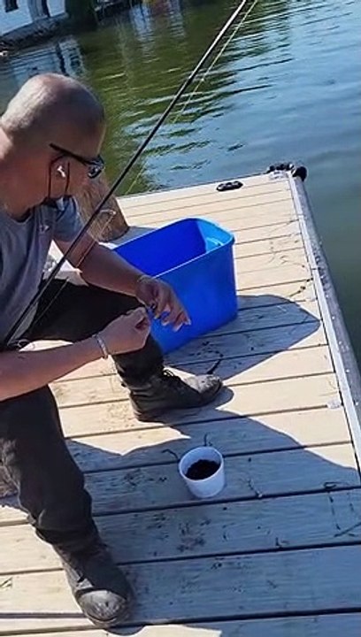 Le vison vole la prise du pêcheur - Buzz Buddy