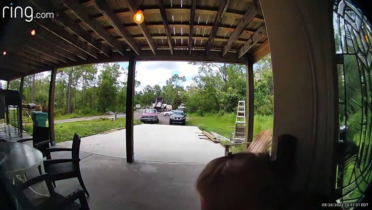 Un saut de grenouille fait peur à une femme - Buzz Buddy