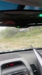 Pris au milieu d'une tempête de grêle - Buzz Buddy