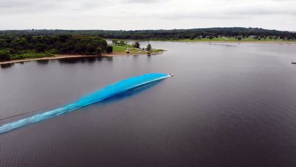 Révélation du genre sur l'eau - Buzz Buddy