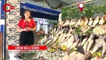 Balık tezgahları hareketlendi: Hangi balık kaç lira?