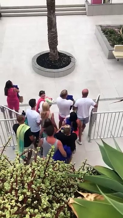 Un autre jour, une autre ruée vers les transats - Buzz Buddy