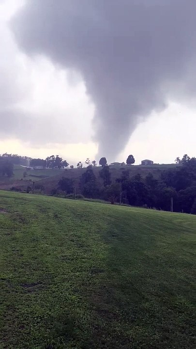Tornade sauvage à West Finley - Buzz Buddy