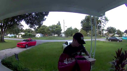 Un chien entre dans la voiture d'un livreur de pizza - Buzz Buddy