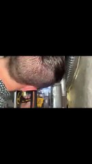 Oiseau libéré du tuyau - Buzz Buddy