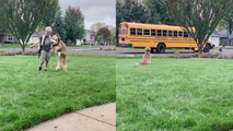 Cute dog excitedly waits for her best friend to step off the school bus