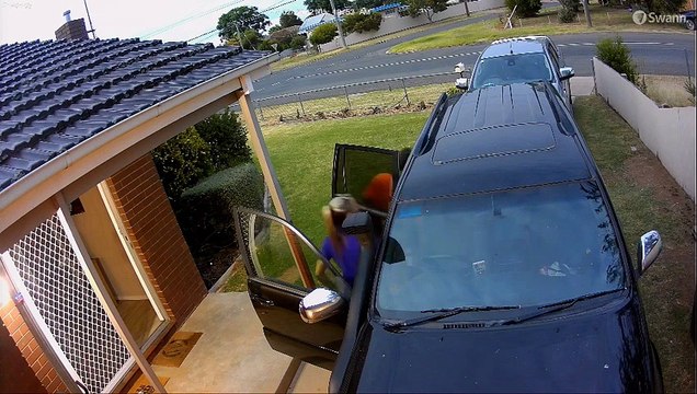 Maman distraite recule dans la voiture de papa - Buzz Buddy